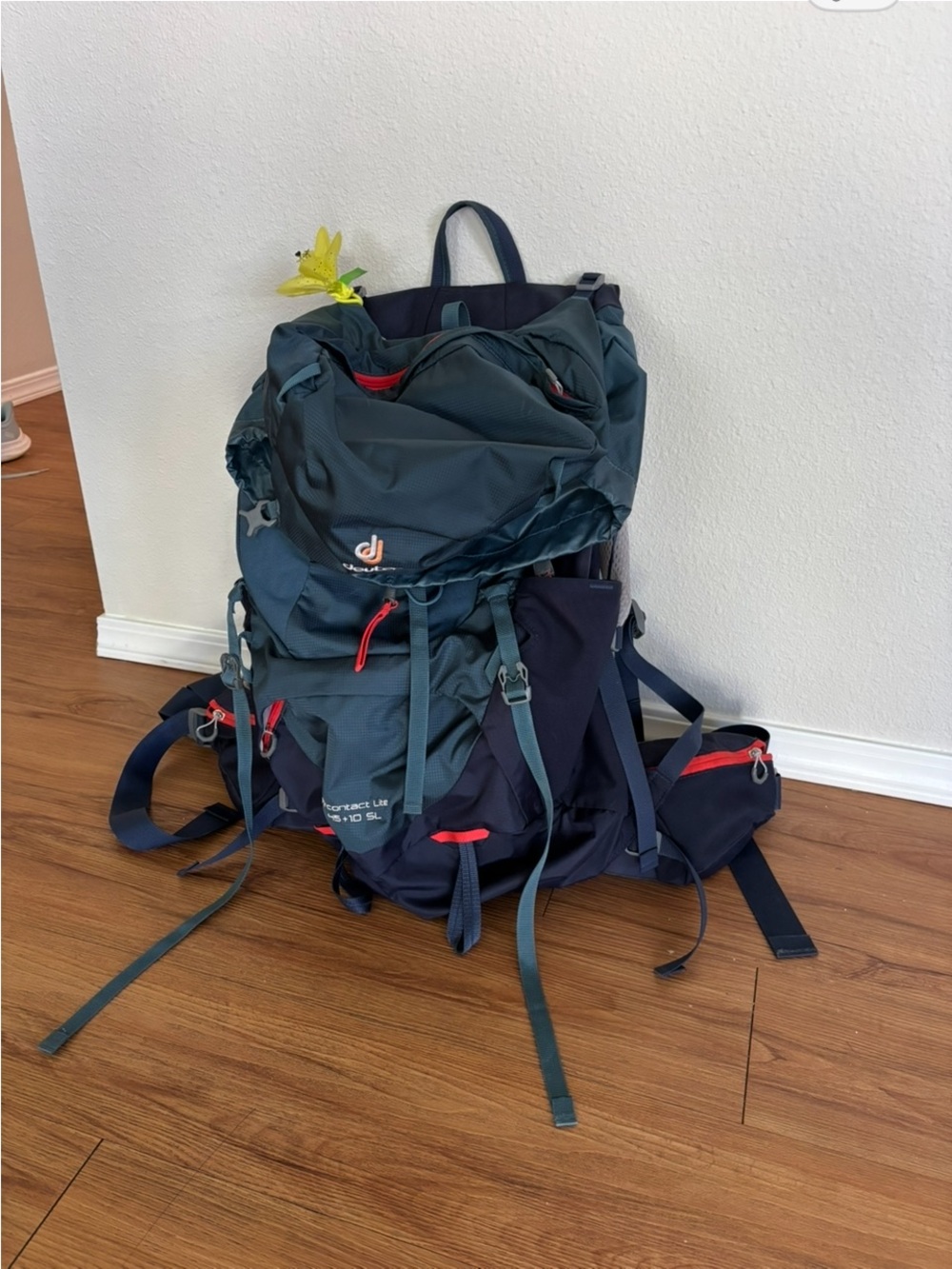 Deuter Women's Navy/Teal Hiking Backpack